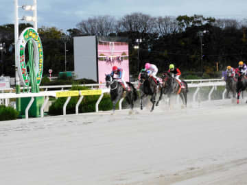 【地方競馬】園田・兵庫ゴールドT ハッピーマンが重賞V2 内から抜け出して兵庫CSの雪辱