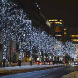 さっぽろホワイトイルミネーション/提供画像