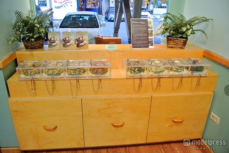 試食もたっぷりでしっかり味を吟味できる