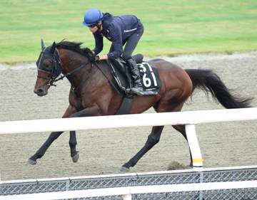 【ラジオNIKKEI賞】ローベルクランツ 好調維持 小林師「いい意味で前回と同じ」G1好走馬の底力発揮へ