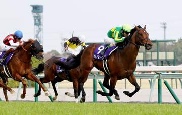 短距離王サトノレーヴが電撃引退 今後は社台スタリオンステーションで種牡馬入りへ