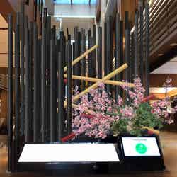 Spring Flower Display ~Flower Art Award pre~/画像提供:東京ミッドタウンマネジメント