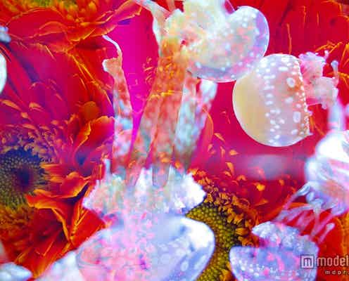 蜷川実花の創る極彩色の“クラゲアート空間” 水族館と初コラボ