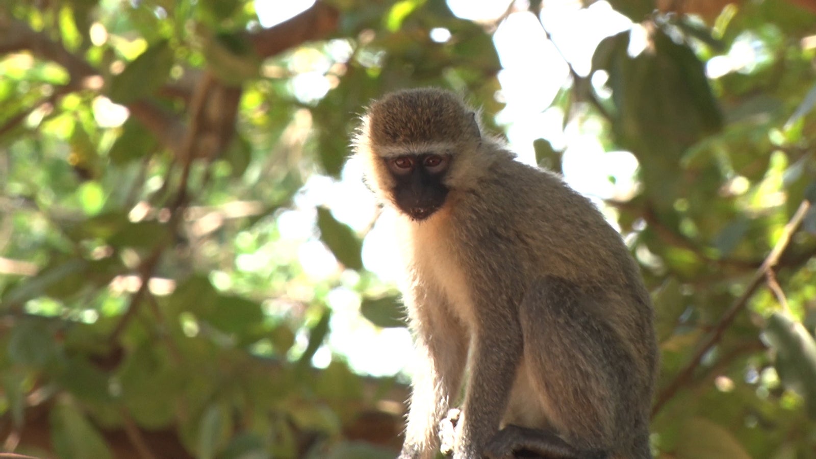 「あいのり：African Journey」第7話より（C）フジテレビ