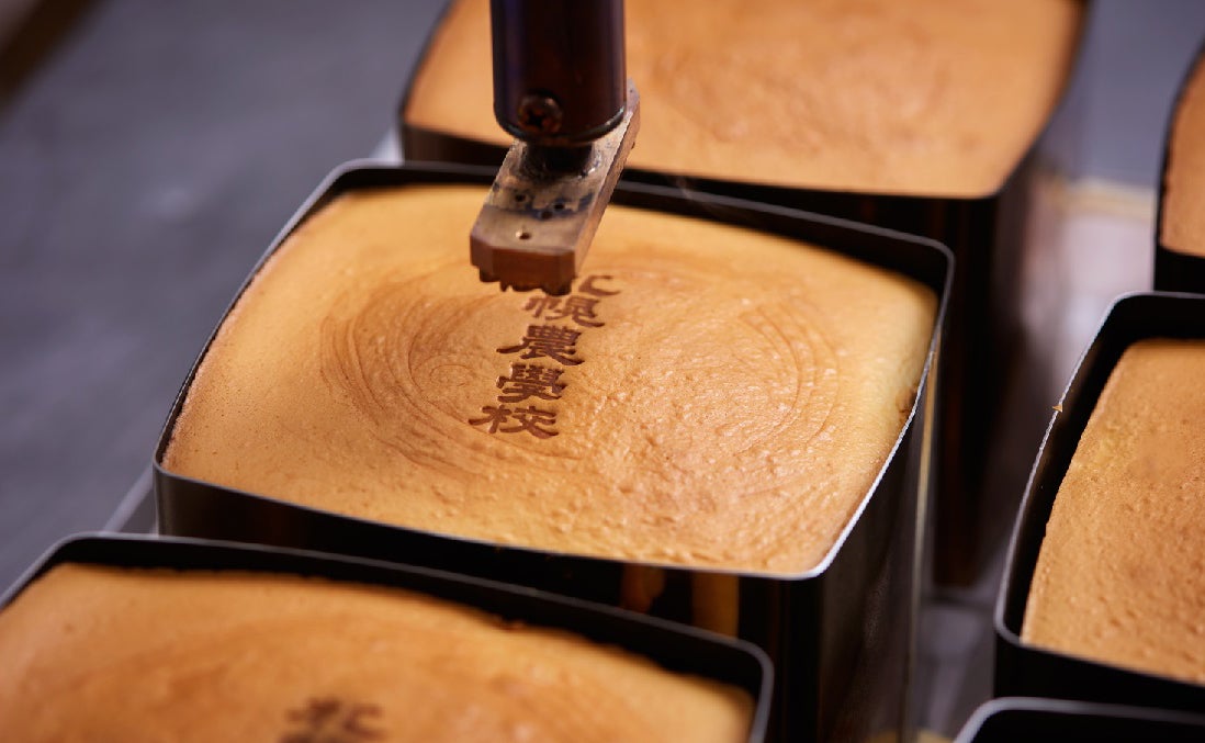 焼きたて酪農チーズケーキ1,380円（税込）／提供画像