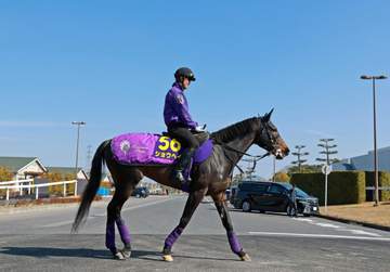 【大阪杯】ショウヘイ 舞台適性ど真ん中 大江助手は状態に自信「馬のいいところをきっちり出せる態勢は整った」【一問一答】