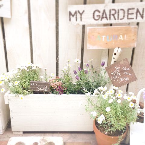 ハーブを使ったおしゃれな花壇レイアウト特集 憧れの庭造りができるおすすめデザイン モデルプレス