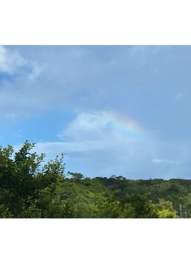 安めぐみ公式ブログより