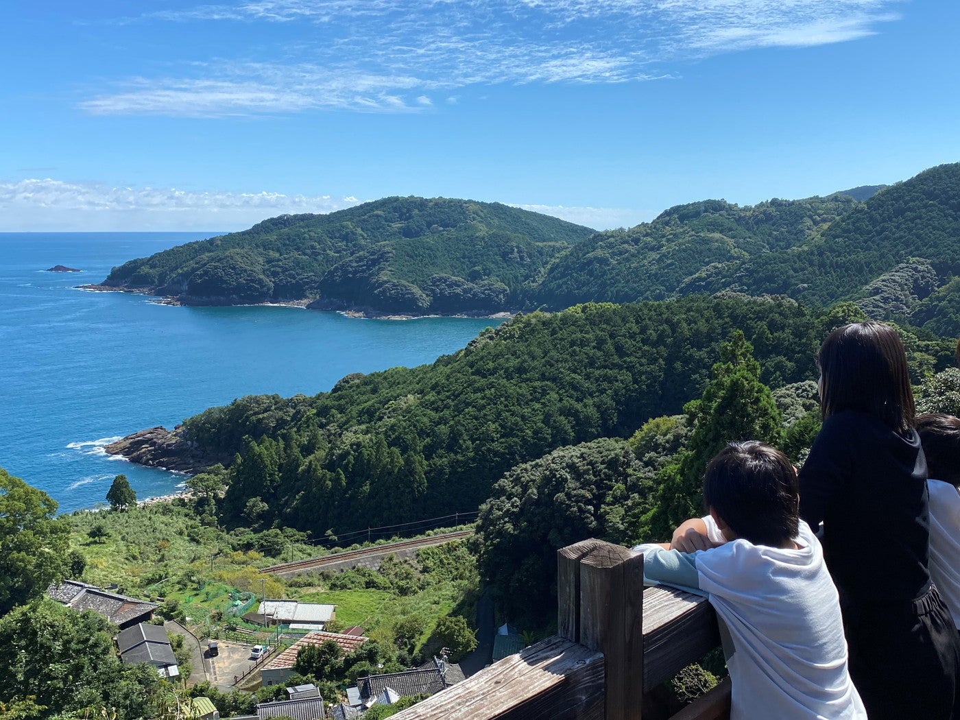 太平洋を背景に走る単線列車が見られたらいいことあるかも？（提供画像）