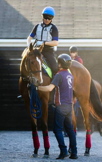 【新馬戦】ビエントゾンダ 初陣Vへ期待 躍動感ある動きに日々野助手「しまいまでしっかり動けていた」