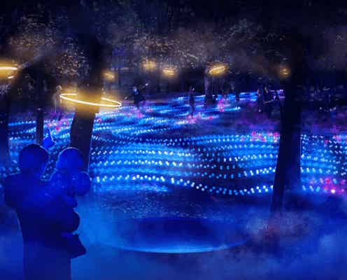 夜の大阪城で“3年限定”ナイトウォーク「サクヤルミナ」開催、光と音の新ゾーン登場