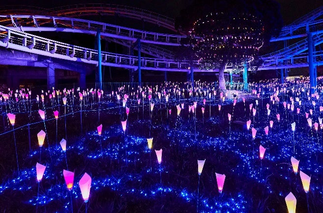 光の遊園地／画像提供：京阪電気鉄道