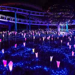 光の遊園地/画像提供:京阪電気鉄道