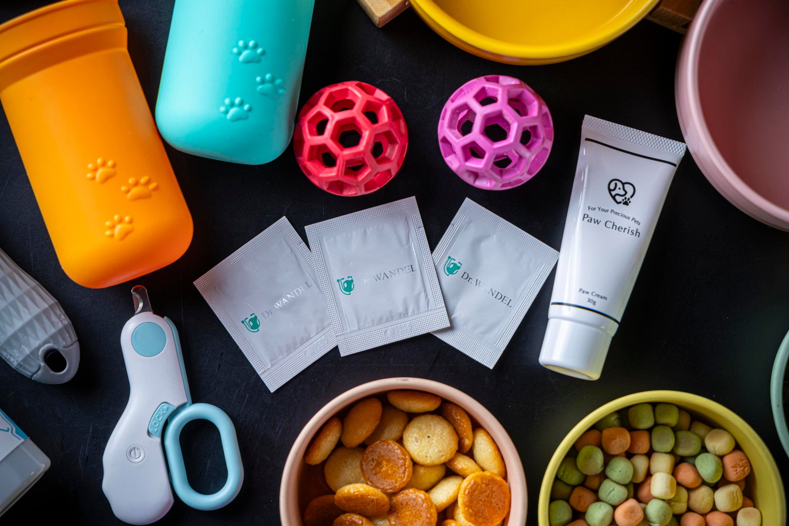 ドッグオーベルジュ千葉勝浦 離れ 風月／提供画像