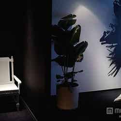 細部に至るまでデザイナーのこだわりが光る/photo by Jun Kaneko