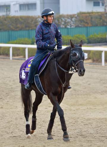【大阪杯】クロワデュノール ダービー以来のG1制覇に曇りなし 斉藤崇師も自信「もうばっちり。絶好調」