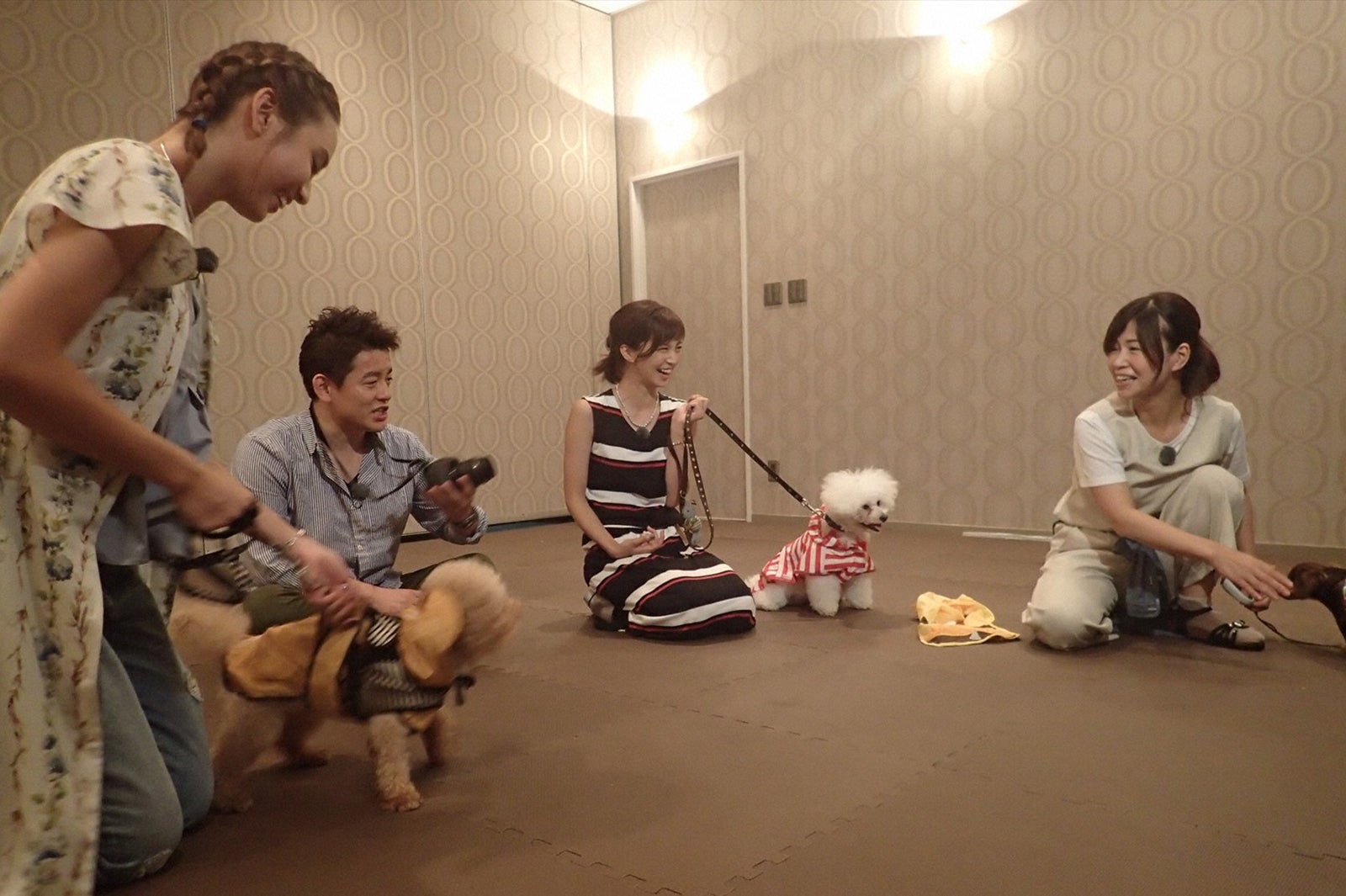 （写真左から）滝沢カレン、井戸田潤、安田美沙子、大久保佳代子／画像提供：TBS