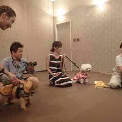 （写真左から）滝沢カレン、井戸田潤、安田美沙子、大久保佳代子／画像提供：TBS