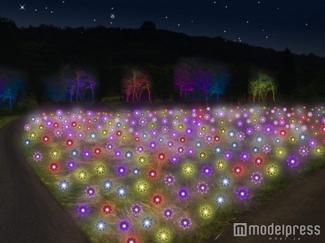 天空の花畑イメージ／画像提供：アパホテルズ＆リゾーツ