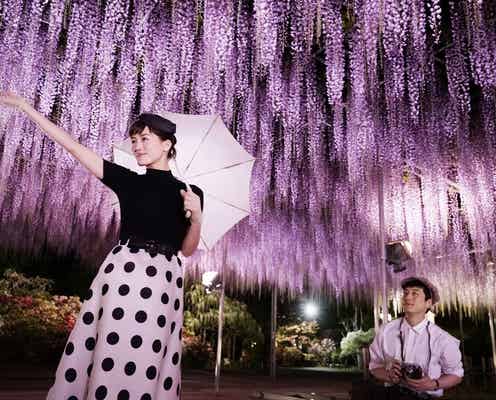 綾瀬はるかが大暴れ 坂口健太郎を振り回す<今夜、ロマンス劇場で>