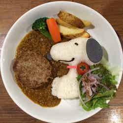 スヌーピーカレー with ハンバーグ1,100円(税込)(C)2016 Peanuts Worldwide LLC www.snoopy.co.jp