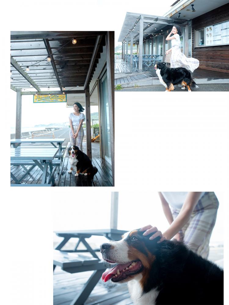 PacificDRIVE-IN 外観