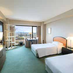 キャットフレンドリールーム内観/画像提供:ハイアット リージェンシー 大阪