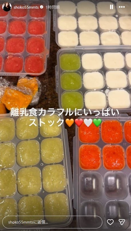 中川翔子Instagramストーリーズより