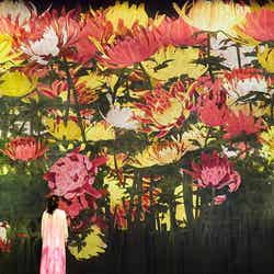 増殖する無量の生命/画像提供:チームラボ