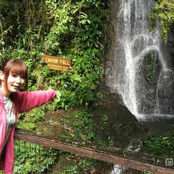 中川翔子、ボルネオで奇跡の出会い「生涯ベストワン」