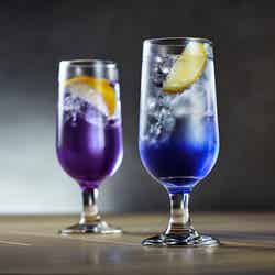 バタフライピーカクテル(提供画像)