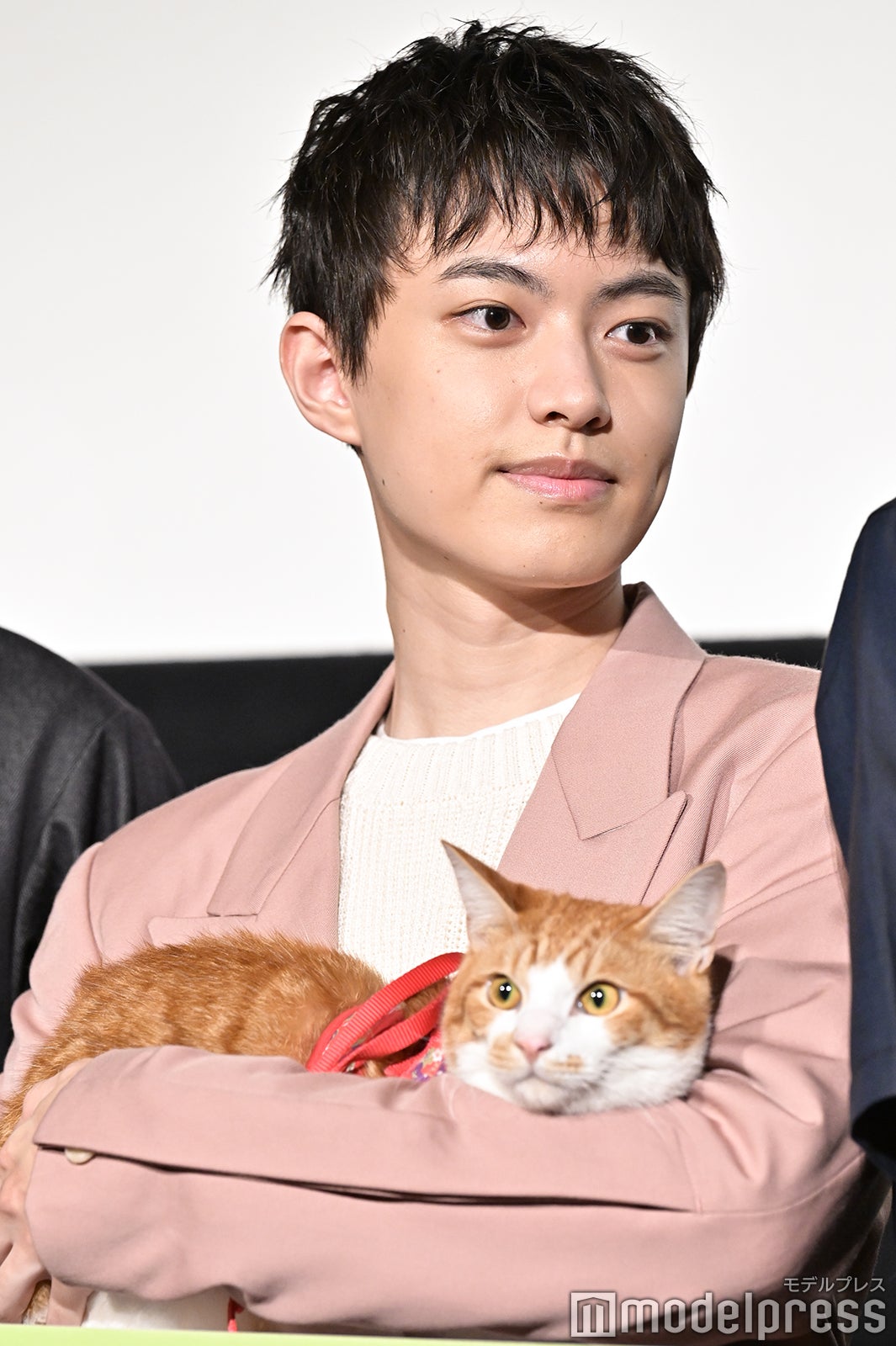上村海成 （C）モデルプレス