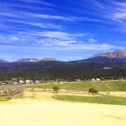 霧島(提供写真)