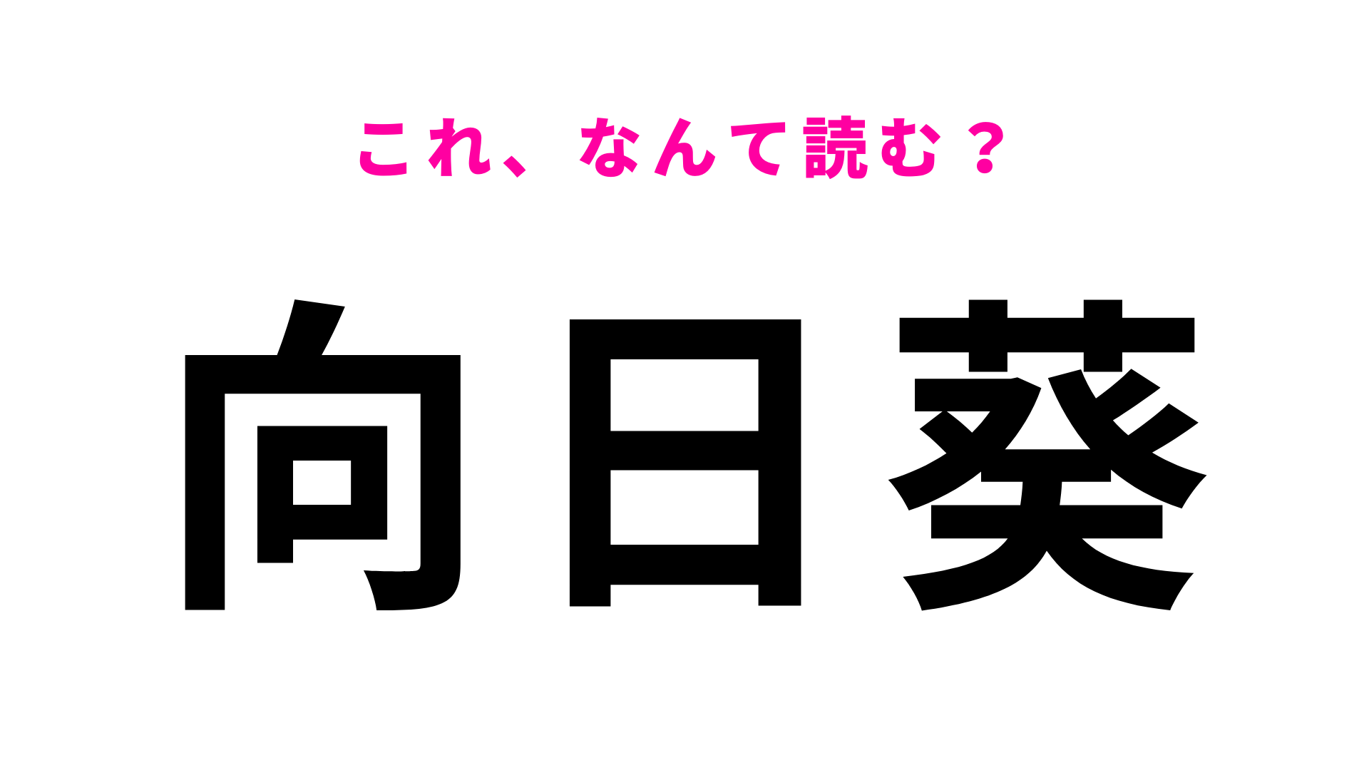 【漢字クイズ】「向日葵」はなんて読む？夏に咲く黄色い花といえば…？