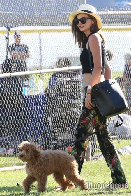 新しいパビー?x17online.com/Zeta Image