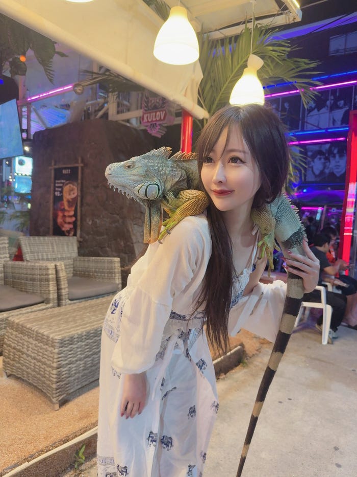 私服(提供画像)