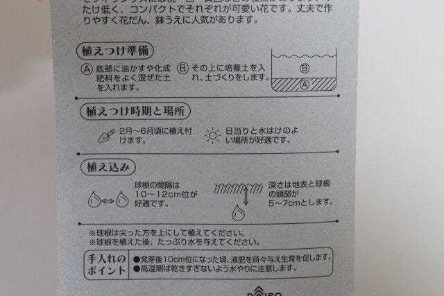 ゼフィランサス桃　パッケージ裏