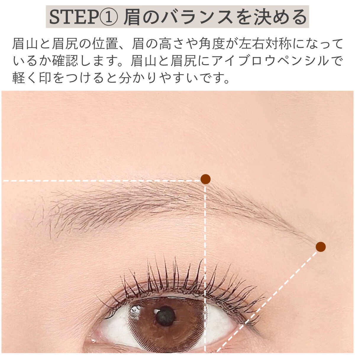 女性の目元と眉に、眉山と眉尻の位置を示す点線と点が描かれた図