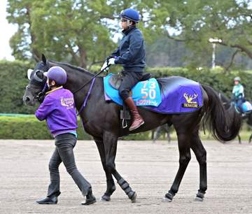 【富士S】トロヴァトーレ 仕上がり万全 美浦坂路を軽快 鹿戸師「ちょうどいい体に仕上がっています」