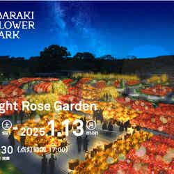 Moonlight Rose Garden2024/提供画像ライトアップの様子/提供画像