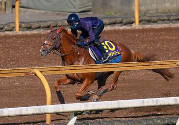 【宝塚記念】ビザンチンドリーム 国分優を背に栗東CWを単走 坂口師「このひと追いで良くなる」