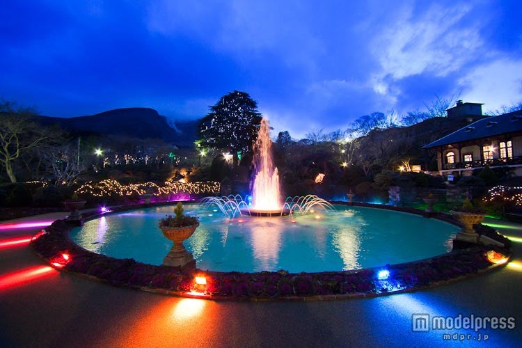 クリスマスイルミネーション／画像提供：小田急箱根グループ