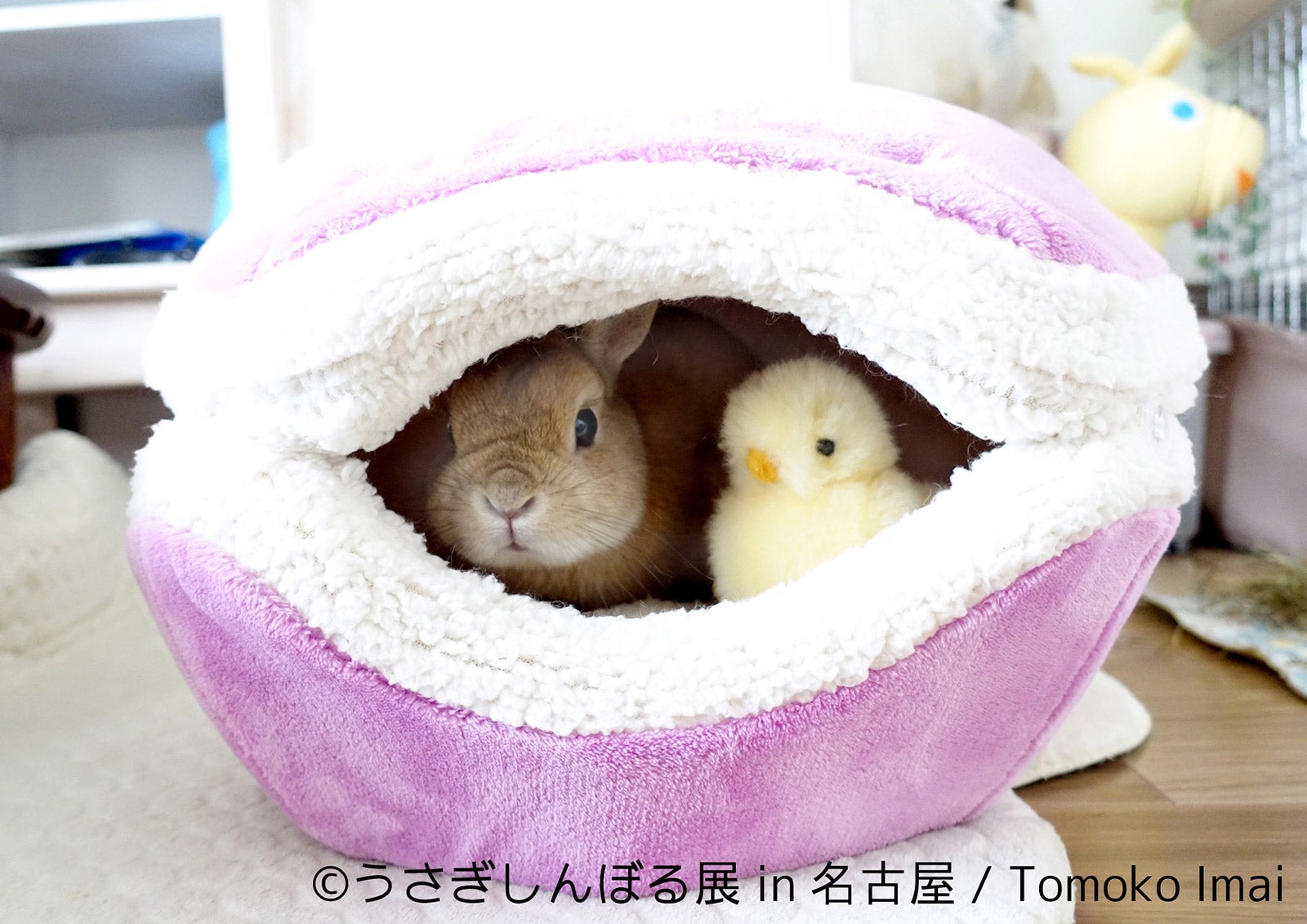 「うさぎしんぼる展 in 名古屋」／画像提供：株式会社BACON