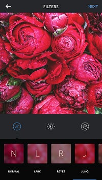 Juno：共同設立者のマイク・クリーガーの愛犬（＠junopup）に由来している。青みや暗さが強い範囲に、緑がかった色調を加えるとともに、白や赤みが強調され、印象が明るくなる。