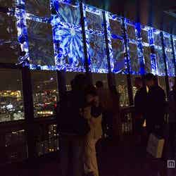 夜景と物語の世界が紡ぐ幻想的な空間 東京タワーで日本初の映像体験/画像提供:東京タワー【モデルプレス】