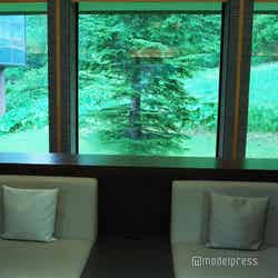 星野リゾート トマム(C)モデルプレス