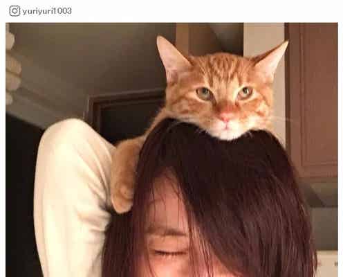 石田ゆり子のインスタが癒される 4匹の犬猫と暮らすプライベート「僕はもうどうしたらいいのかわからない」シリーズが可愛すぎ
