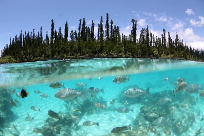 【2018年ヒット予測/旅行トレンド】次の旅がもっと楽しくなる!注目の国内旅行&海外旅行先総ざらい