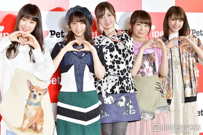 乃木坂46の ペット トーク 西野七瀬 高山一実の共通ワードは ブサカワ キャプテン桜井玲香に似てる動物も判明 モデルプレス 乃木坂46の ペット トーク 西野七瀬 高山一実の共通ワードは ブサカワ キャプテン桜井玲香に似てる動物も判明 モデルプレス