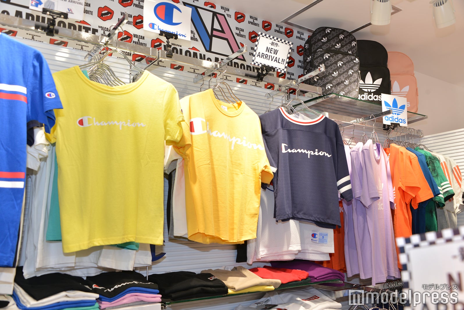 種類が豊富なTシャツ（C）モデルプレス